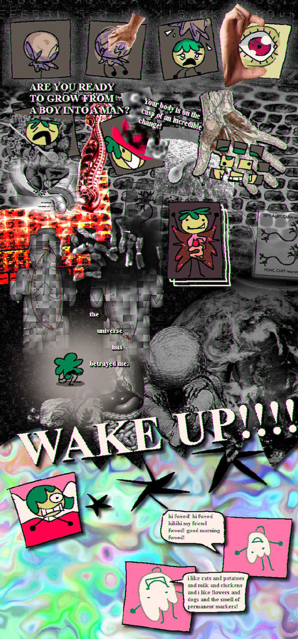 return of a lifetime